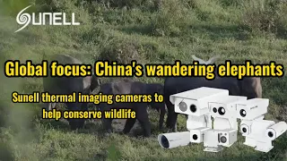 กล้องภาพความร้อน sunell ช่วยอนุรักษ์สัตว์ป่า